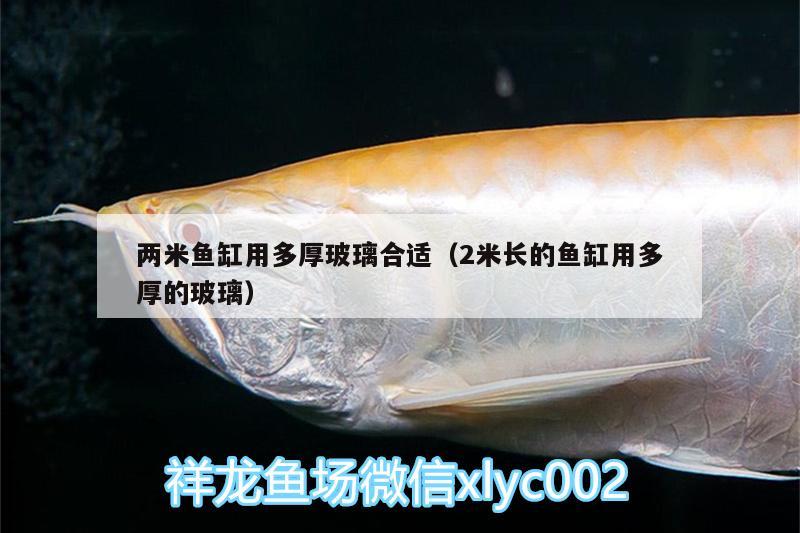 兩米魚缸用多厚玻璃合適（2米長的魚缸用多厚的玻璃） 斑馬鴨嘴魚苗