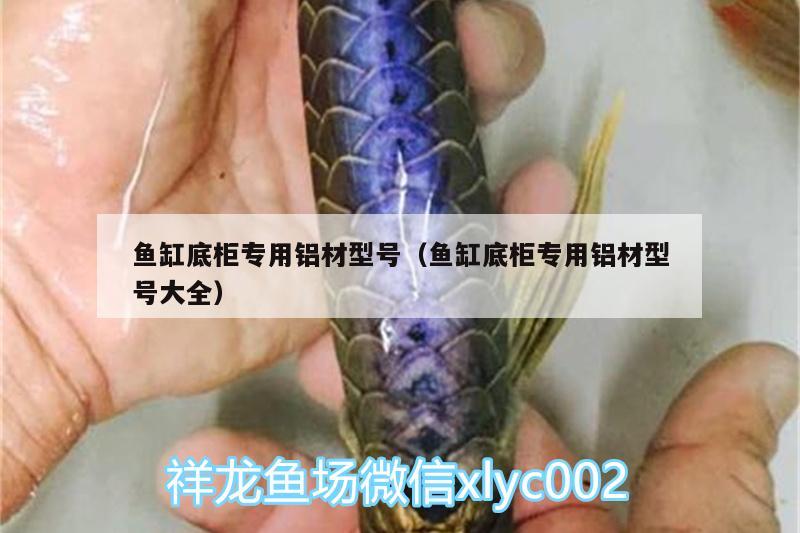 魚缸底柜專用鋁材型號（魚缸底柜專用鋁材型號大全）