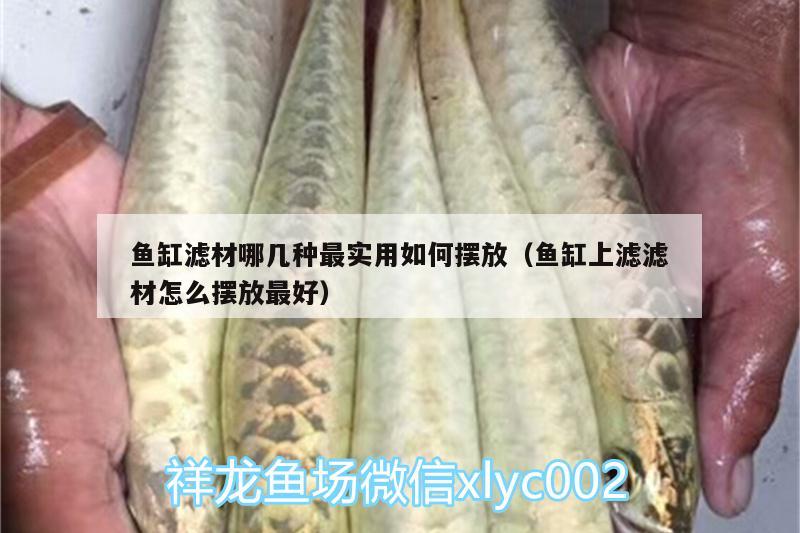 魚缸濾材哪幾種最實用如何擺放（魚缸上濾濾材怎么擺放最好） 泰龐海蓮魚