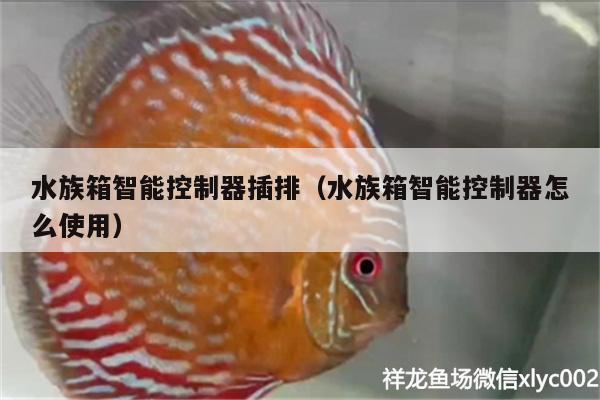 水族箱智能控制器插排（水族箱智能控制器怎么使用）