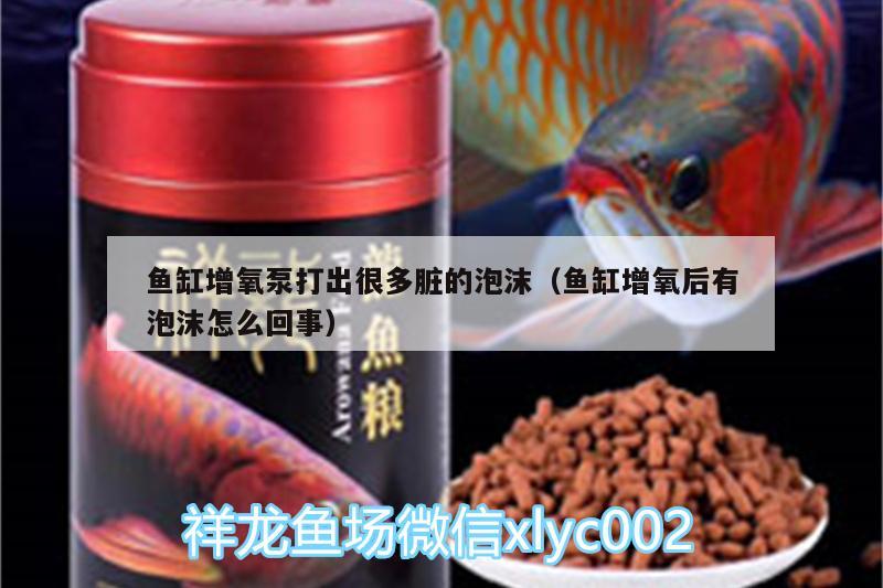 魚缸增氧泵打出很多臟的泡沫（魚缸增氧后有泡沫怎么回事） 福滿鉆魚 第1張