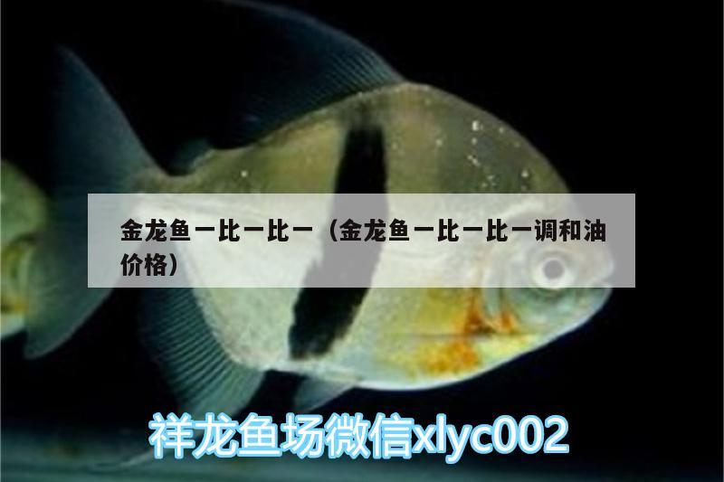 金龍魚一比一比一（金龍魚一比一比一調(diào)和油價格）