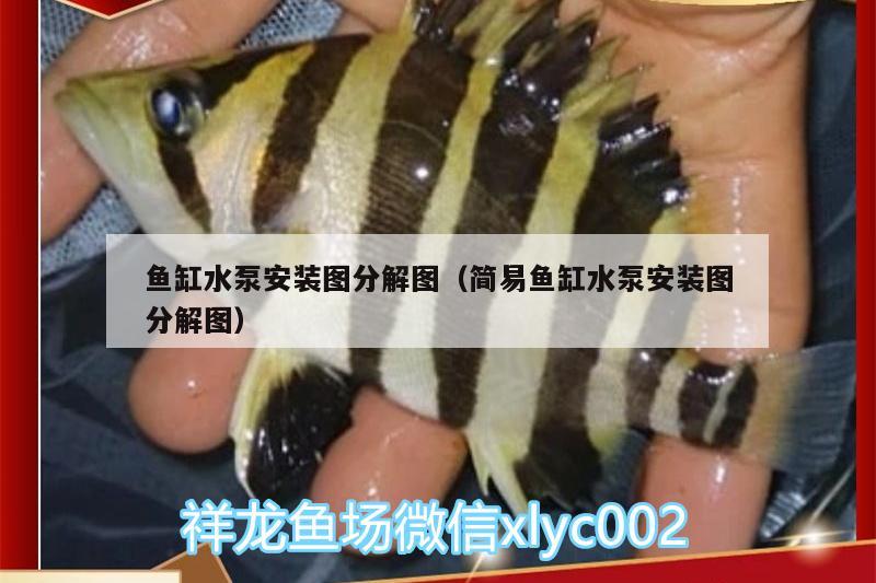 魚缸水泵安裝圖分解圖（簡易魚缸水泵安裝圖分解圖）