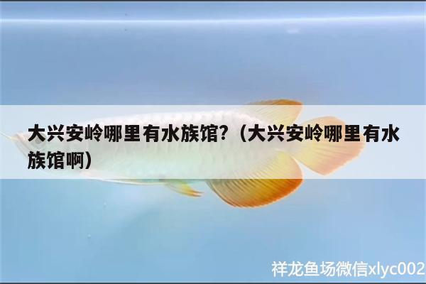 大興安嶺哪里有水族館?（大興安嶺哪里有水族館?。? title=