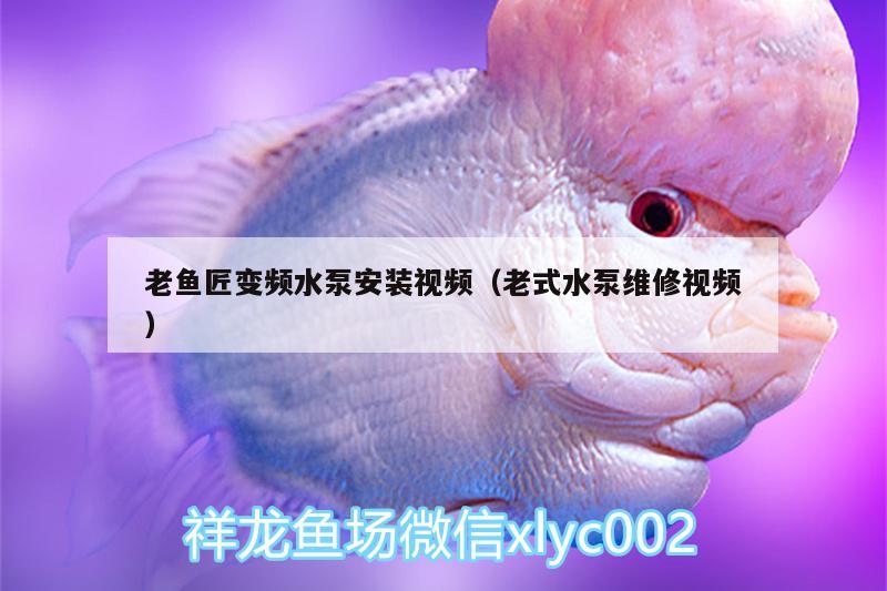 老魚匠變頻水泵安裝視頻（老式水泵維修視頻） 老魚匠 第2張