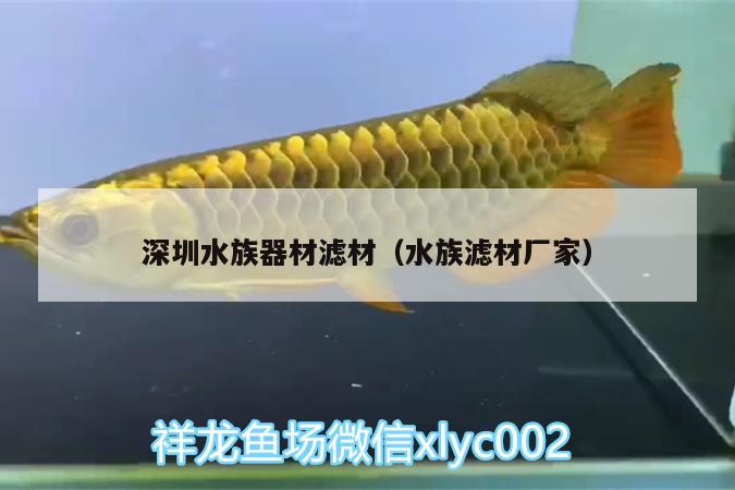 深圳水族器材濾材（水族濾材廠家） 福魟魟魚