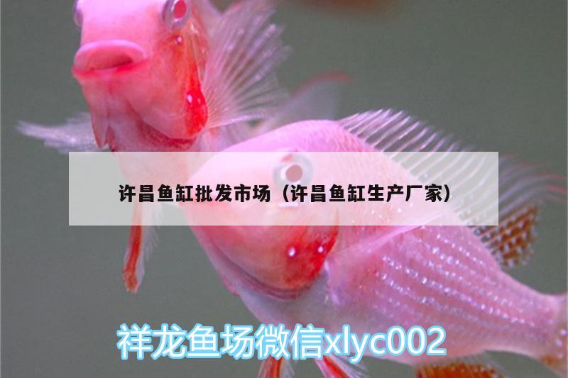 許昌魚缸批發(fā)市場（許昌魚缸生產(chǎn)廠家）