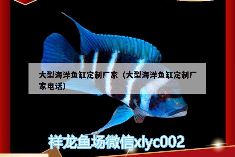 大型海洋魚缸定制廠家（大型海洋魚缸定制廠家電話）