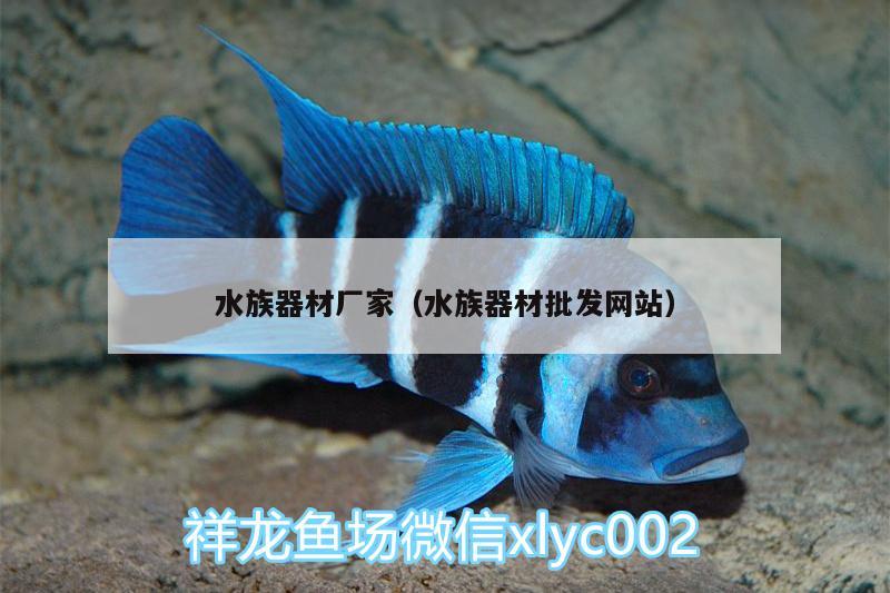 水族器材廠家（水族器材批發(fā)網(wǎng)站） 泰龐海蓮魚