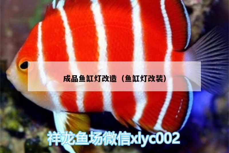 成品魚缸燈改造（魚缸燈改裝）