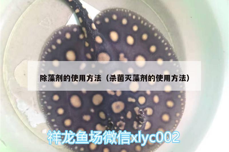 除藻劑的使用方法（殺菌滅藻劑的使用方法） 飛鳳魚苗 第3張