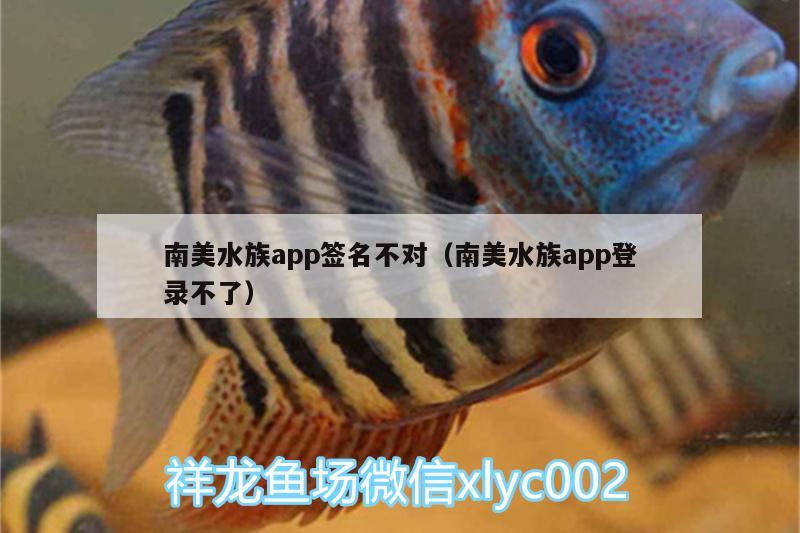 南美水族app簽名不對（南美水族app登錄不了） 翡翠鳳凰魚 第3張