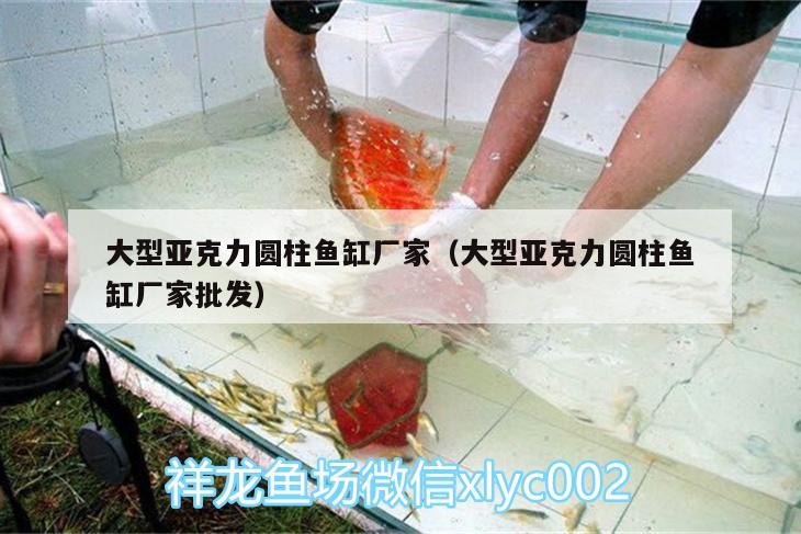 大型亞克力圓柱魚缸廠家（大型亞克力圓柱魚缸廠家批發(fā)）