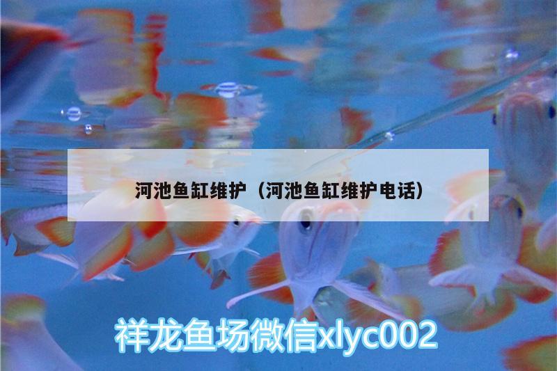 河池魚缸維護(hù)（河池魚缸維護(hù)電話）