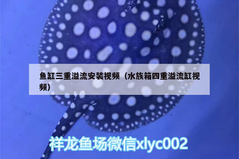 魚缸三重溢流安裝視頻（水族箱四重溢流缸視頻） 魚缸/水族箱