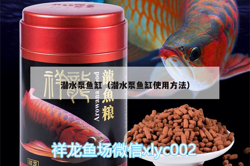 潛水泵魚缸（潛水泵魚缸使用方法） 麥肯斯銀版魚 第2張