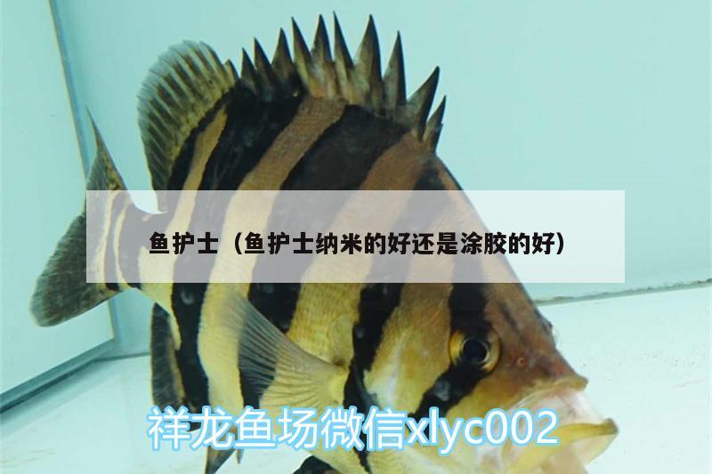 魚護(hù)士（魚護(hù)士納米的好還是涂膠的好）