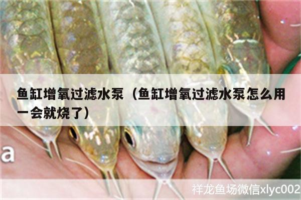 魚(yú)缸增氧過(guò)濾水泵（魚(yú)缸增氧過(guò)濾水泵怎么用一會(huì)就燒了）