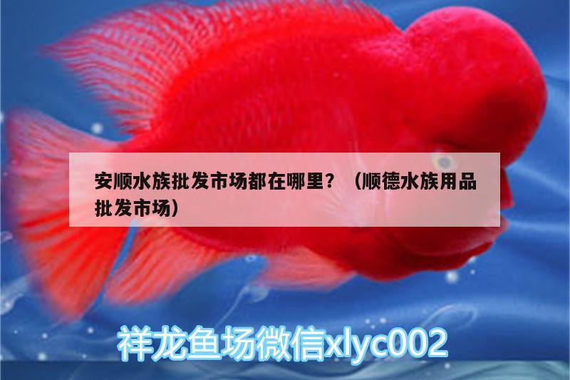 安順?biāo)迮l(fā)市場(chǎng)都在哪里？（順德水族用品批發(fā)市場(chǎng)）