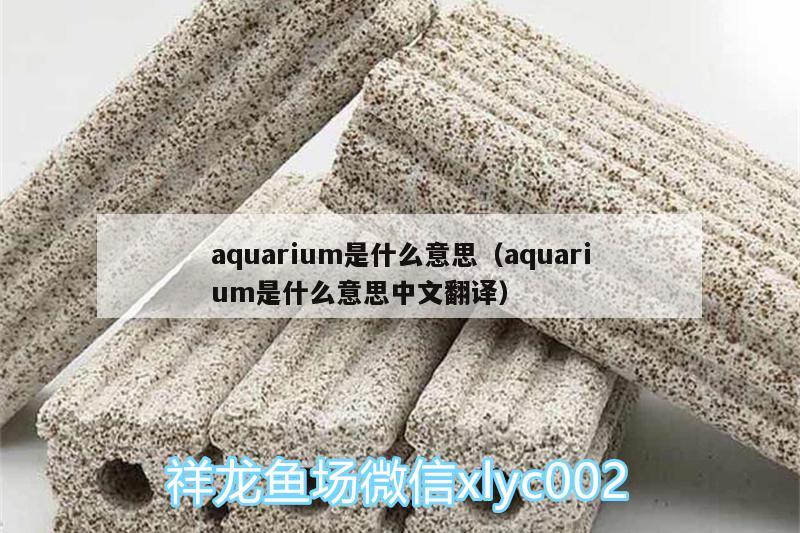 aquarium是什么意思（aquarium是什么意思中文翻譯） 龍魚專用燈 第2張