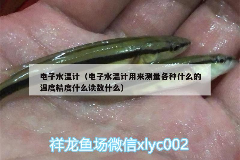 電子水溫計(jì)（電子水溫計(jì)用來測量各種什么的溫度精度什么讀數(shù)什么）