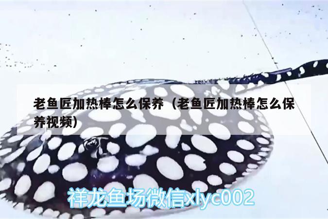 老魚匠加熱棒怎么保養(yǎng)（老魚匠加熱棒怎么保養(yǎng)視頻） 老魚匠