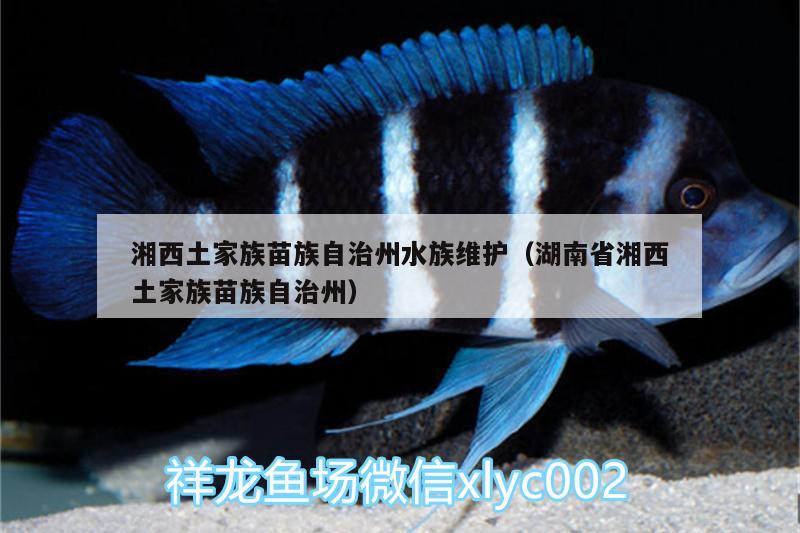 湘西土家族苗族自治州水族維護（湖南省湘西土家族苗族自治州）