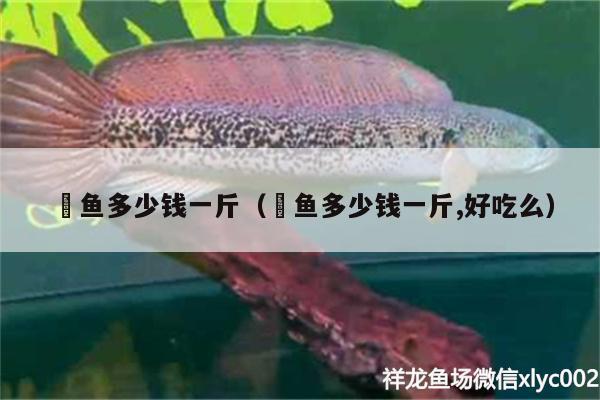 魟魚多少錢一斤（魟魚多少錢一斤,好吃么） 白子關刀魚