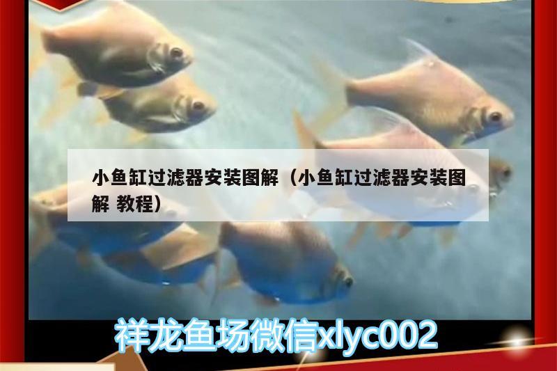 小魚缸過濾器安裝圖解（小魚缸過濾器安裝圖解教程） 水族燈（魚缸燈） 第1張