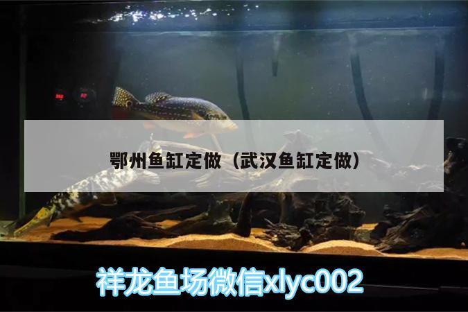 鄂州魚缸定做（武漢魚缸定做）