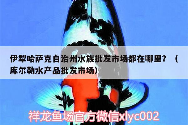 伊犁哈薩克自治州水族批發(fā)市場(chǎng)都在哪里？（庫(kù)爾勒水產(chǎn)品批發(fā)市場(chǎng)）