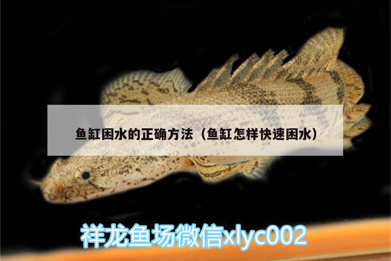 魚(yú)缸困水的正確方法（魚(yú)缸怎樣快速困水）