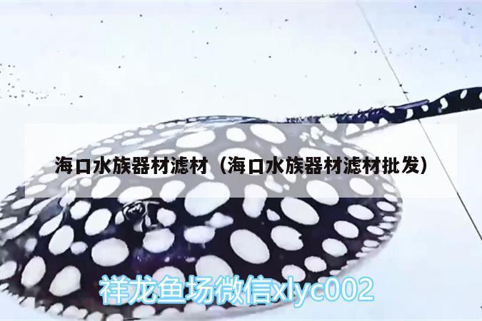 ?？谒迤鞑臑V材（海口水族器材濾材批發(fā)）