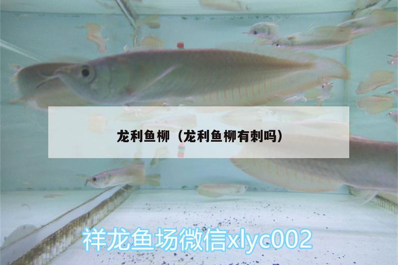 龍利魚柳（龍利魚柳有刺嗎）