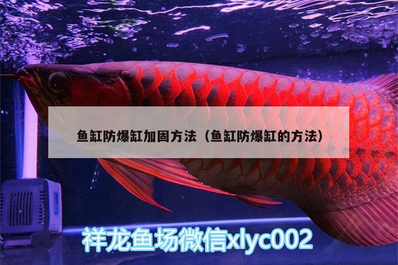 魚缸防爆缸加固方法（魚缸防爆缸的方法）