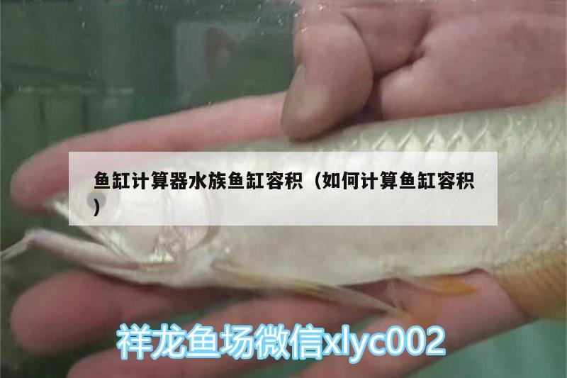 魚缸計算器水族魚缸容積（如何計算魚缸容積）