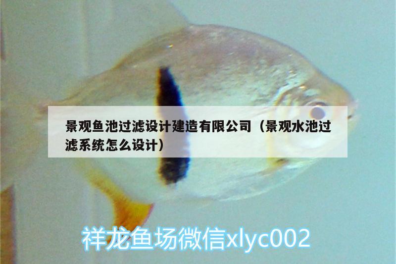 景觀魚池過(guò)濾設(shè)計(jì)建造有限公司（景觀水池過(guò)濾系統(tǒng)怎么設(shè)計(jì)） 羽毛刀魚苗 第1張