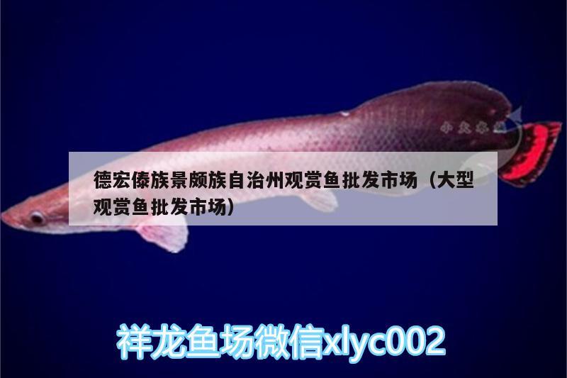 德宏傣族景頗族自治州觀賞魚批發(fā)市場（大型觀賞魚批發(fā)市場） 觀賞魚批發(fā) 第1張