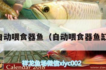 自動喂食器魚（自動喂食器魚缸）