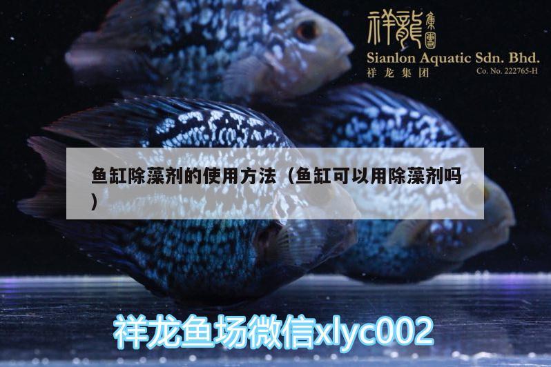 魚缸除藻劑的使用方法（魚缸可以用除藻劑嗎） 飛鳳魚苗