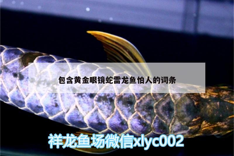 包含黃金眼鏡蛇雷龍魚怕人的詞條 黃金眼鏡蛇雷龍魚