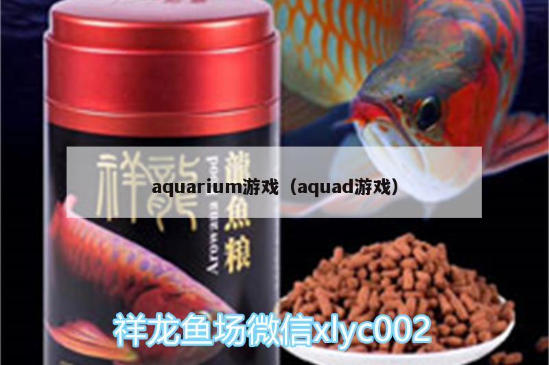 aquarium游戲（aquad游戲） 大湖紅龍魚