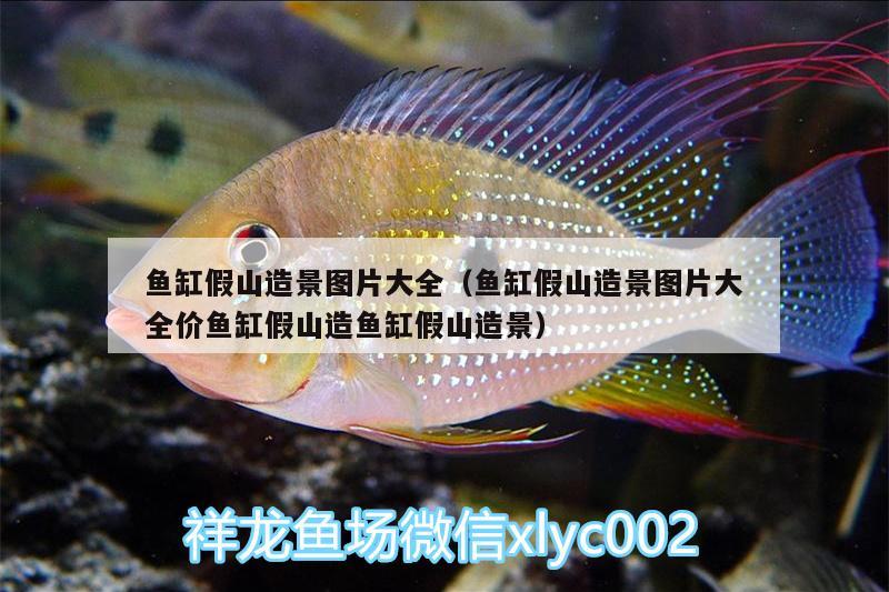 魚缸假山造景圖片大全（魚缸假山造景圖片大全價(jià)魚缸假山造魚缸假山造景） 鴨嘴鯊魚