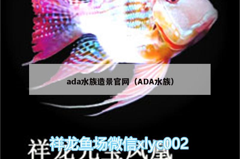 ada水族造景官網(wǎng)（ADA水族） 女王大帆魚苗