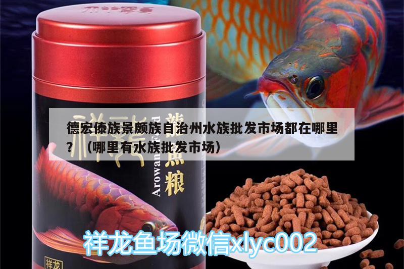 德宏傣族景頗族自治州水族批發(fā)市場(chǎng)都在哪里？（哪里有水族批發(fā)市場(chǎng)） 觀賞魚水族批發(fā)市場(chǎng)