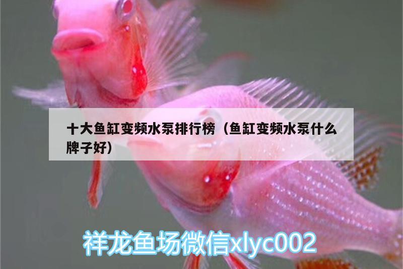 十大魚缸變頻水泵排行榜（魚缸變頻水泵什么牌子好） 其他益生菌