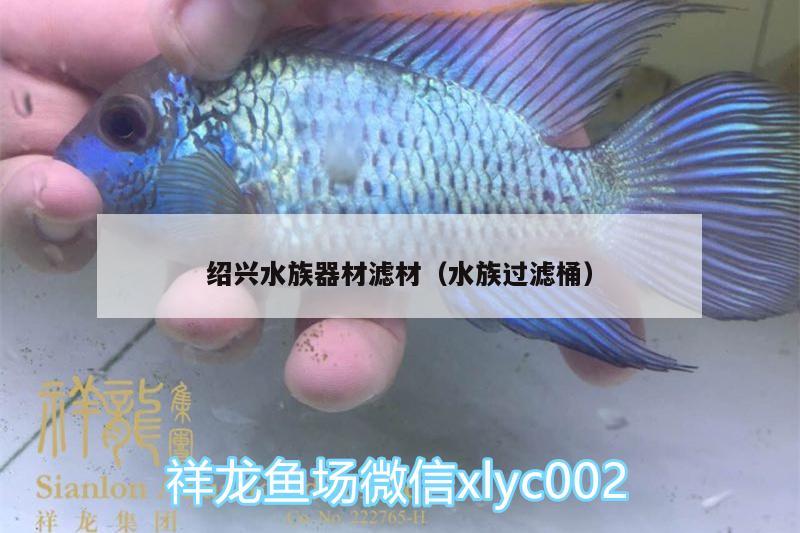 紹興水族器材濾材（水族過濾桶）