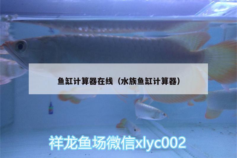 魚缸計算器在線（水族魚缸計算器） 紅龍福龍魚