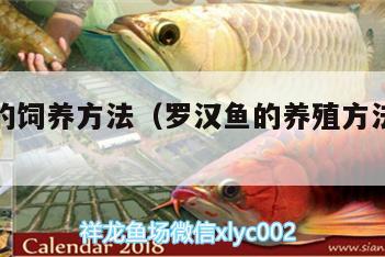 羅漢魚(yú)的飼養(yǎng)方法（羅漢魚(yú)的養(yǎng)殖方法和注意事項(xiàng)）