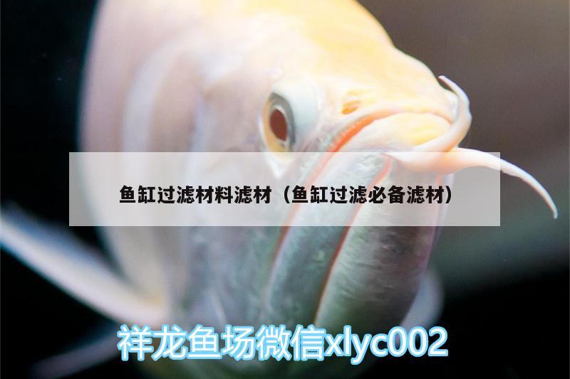 魚缸過濾材料濾材（魚缸過濾必備濾材）